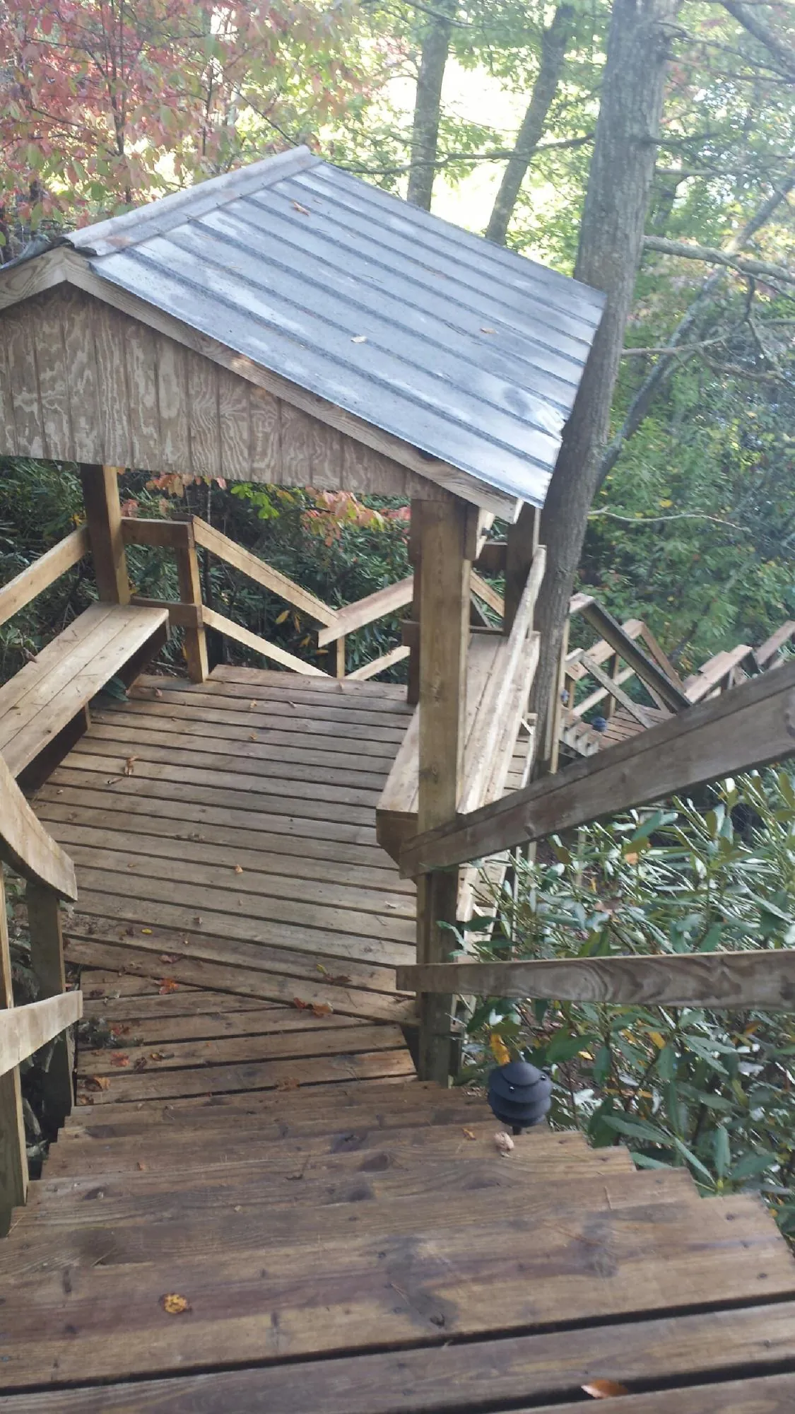Metal roofed shelter over wooden steps on a wooded walkway — Skylight Repair & Installation work by our crew in Eustis